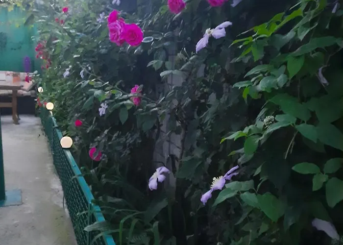 Гостевой дом Solmaris