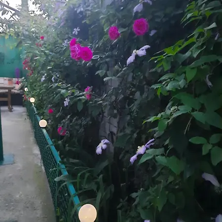 Guest house Solmaris