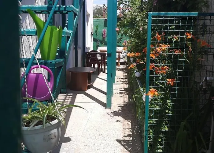 Solmaris Guest house Odesa