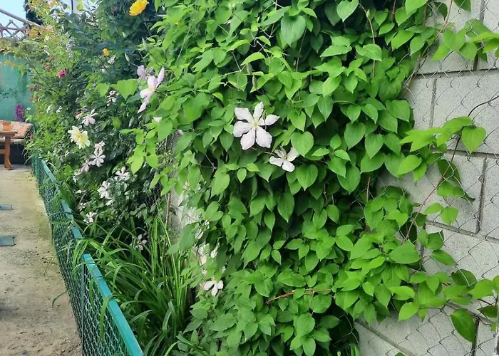 Solmaris 3* 오데사